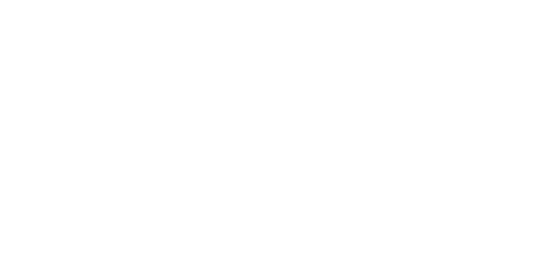Seedance